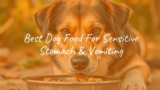 Best Dog Food For Sensitive Stomach & Vomiting